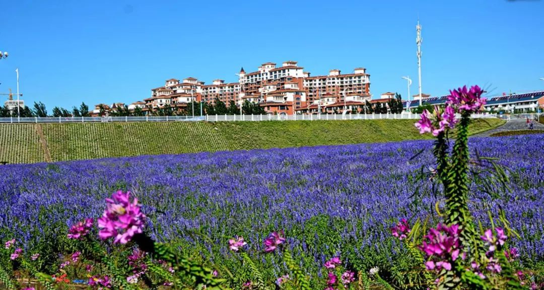 通辽文化旅游季来啦,通辽市哪里适合踏青