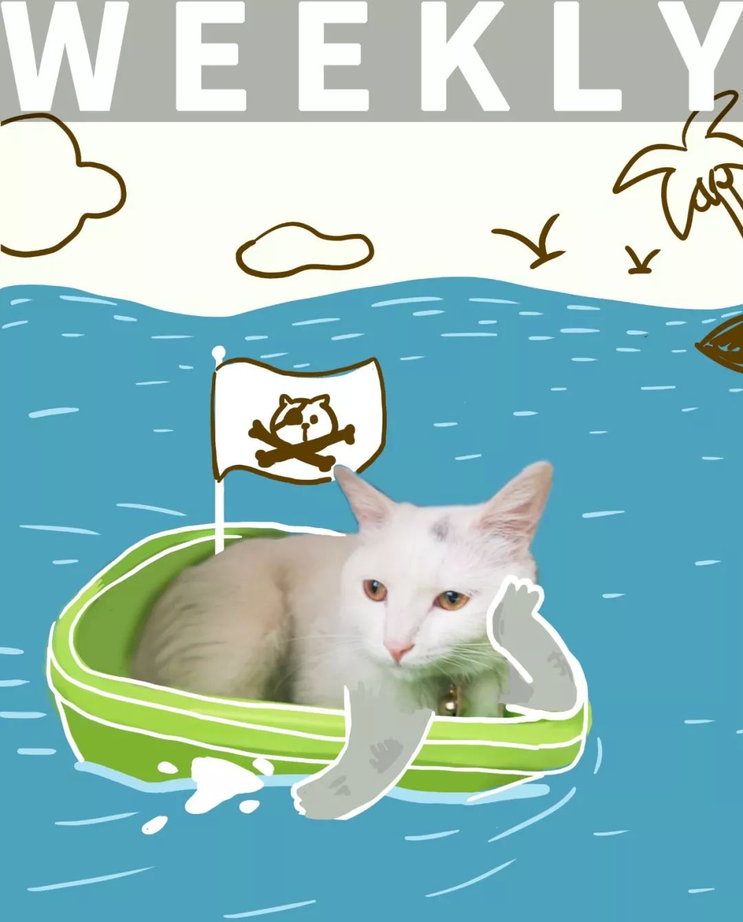 假性阿尔茨海默,假装高情商的人心理