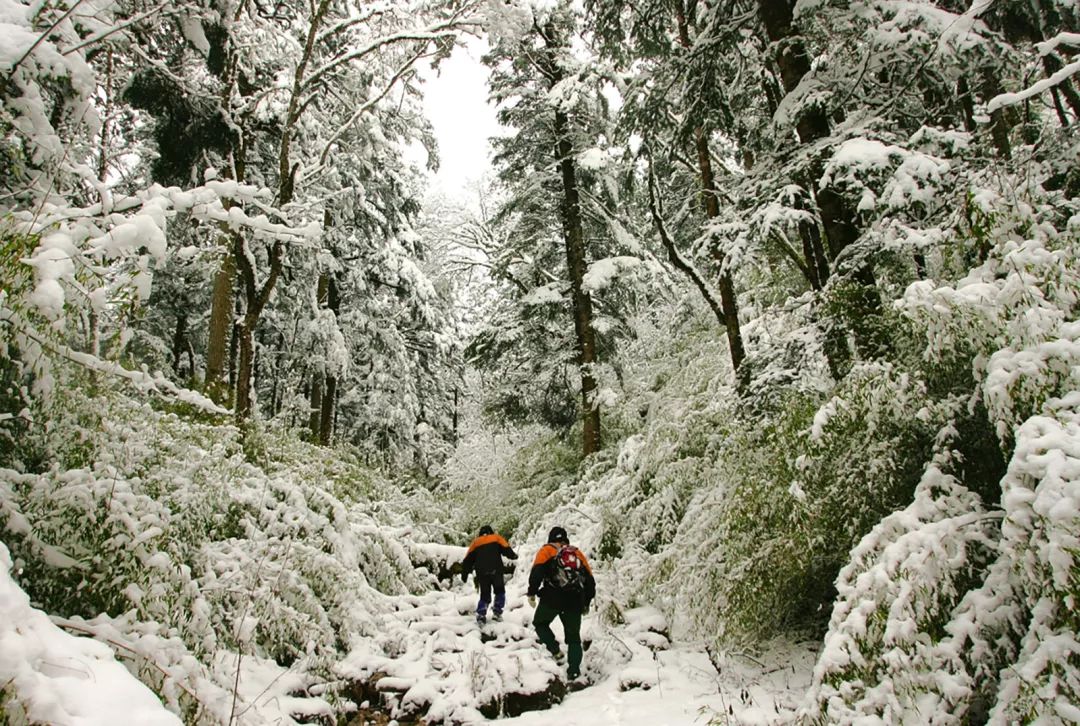 你才可爱你全家都可爱出处,你才可爱你全家都可爱怎么回