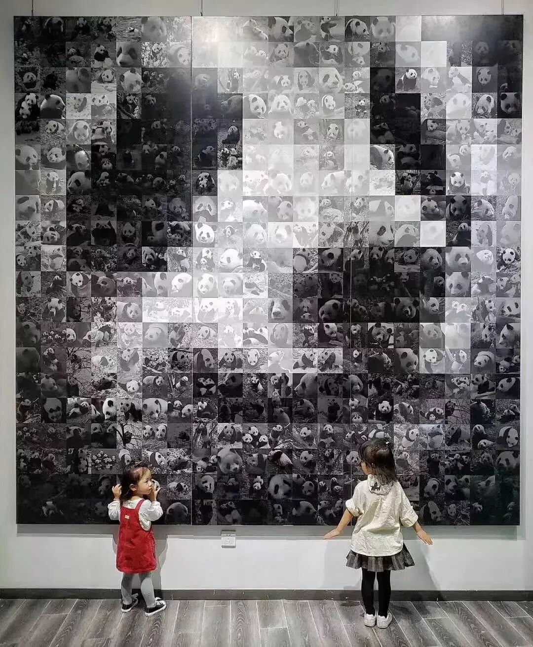 熊猫萌到什么程度,熊猫萌