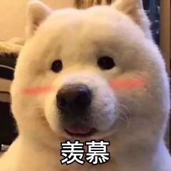 购彩者中719万元,购彩者花10元买彩票中500万