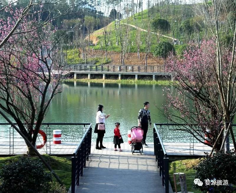 【五一·爽心游江西】婺源最全旅游攻略已为您备好，快来婺源“嗨”翻天！