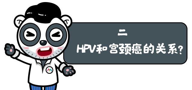 需不需要打hpv疫苗,你还需要打宫颈疫苗吗