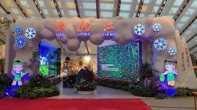 总书记来到世园会黑龙江馆，“花仙子”导游推介龙江园艺特色！