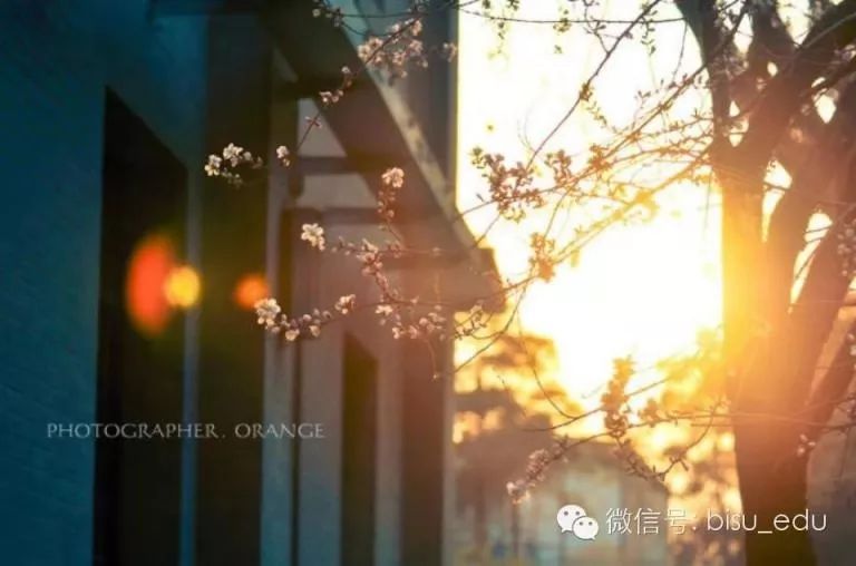 月末还剩十块钱?亲亲,小薇有份二外省钱攻略,请查收!