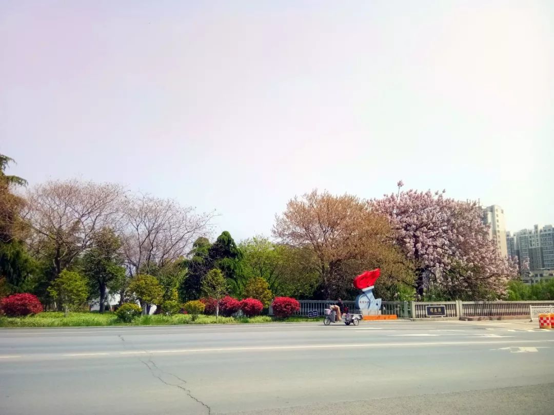 宿迁泗洪繁华的地方,泗洪隐藏美景