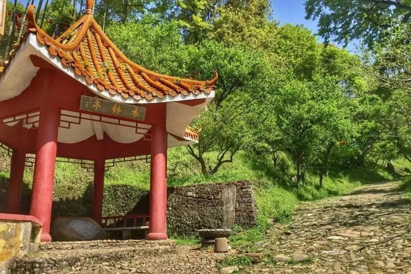 这个假期西安有多火,这个假期有多热