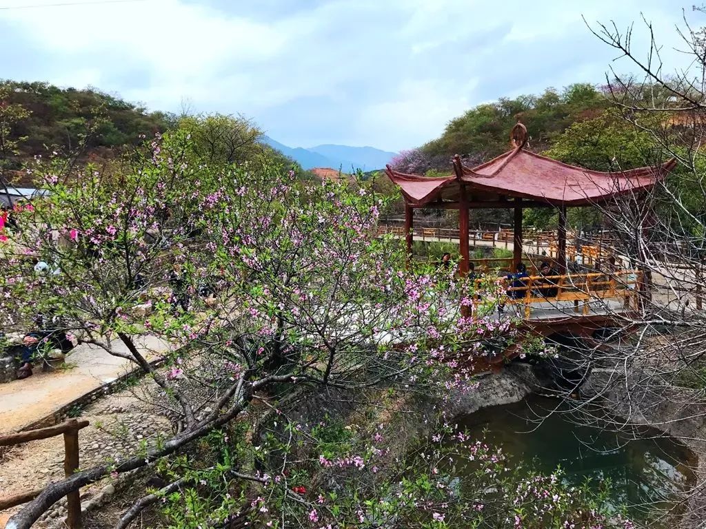 这个假期西安有多火,这个假期有多热