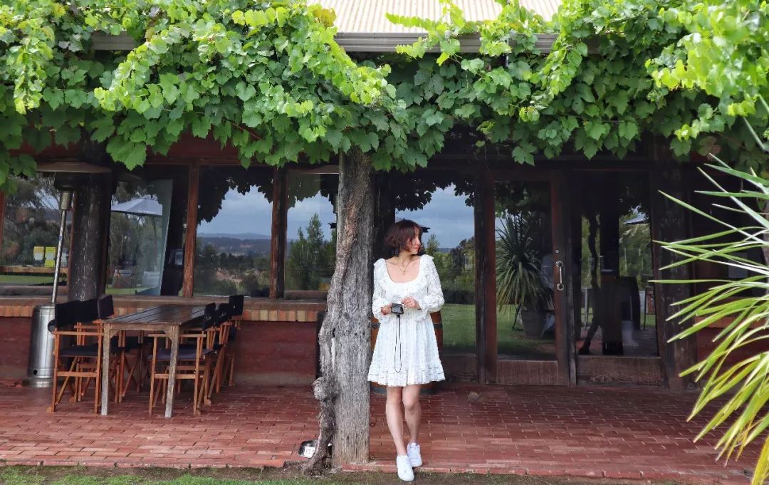 澳洲旅行需要带什么,澳洲旅行买什么保险好