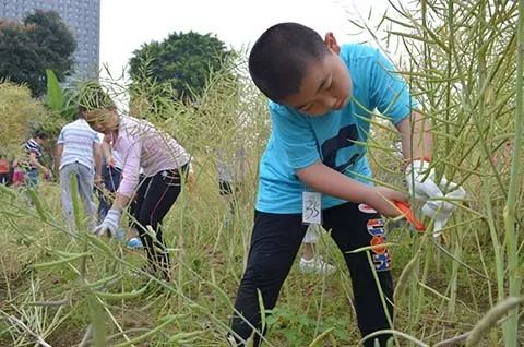 闽侯五一亲子游,福州闽侯五一假期去哪玩