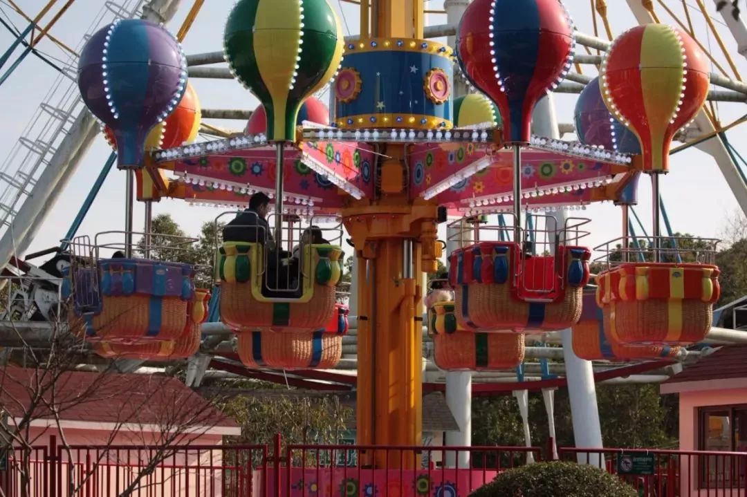 上海野生动物园游览攻略,上海野生动物园的旅游路线示意图