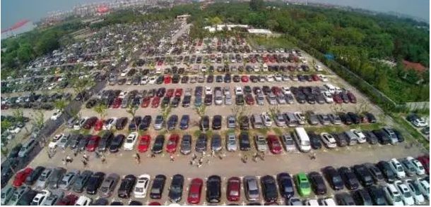 去处｜你真的知道怎么玩转上海野生动物园吗？最全指南在这里！