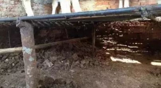 养牛新技术教学,养牛怎么养才能让牛快速生长