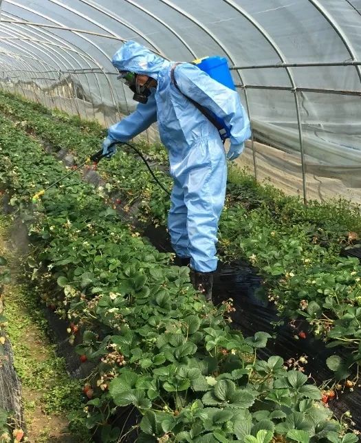 钢铁侠有战甲，灭霸有手套，中化人的劳动神器是？