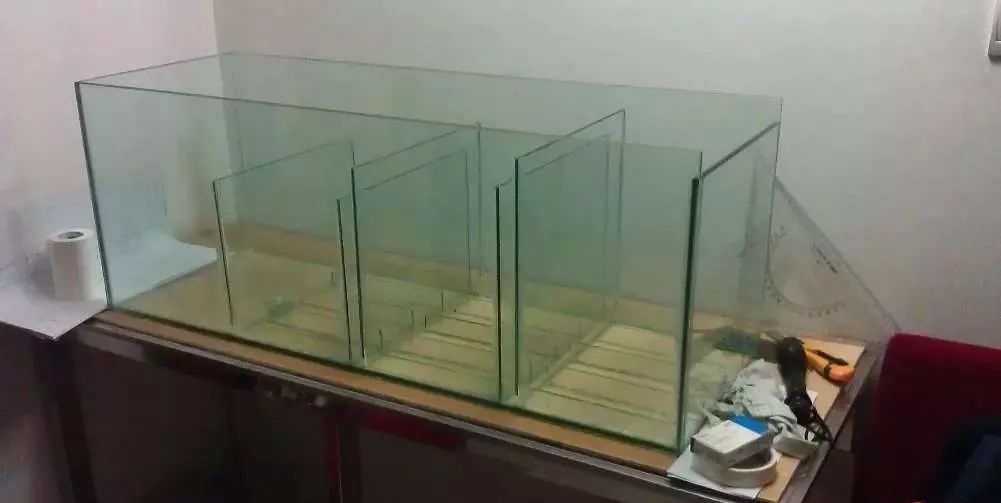 3000块的DIY罗缸，值么？