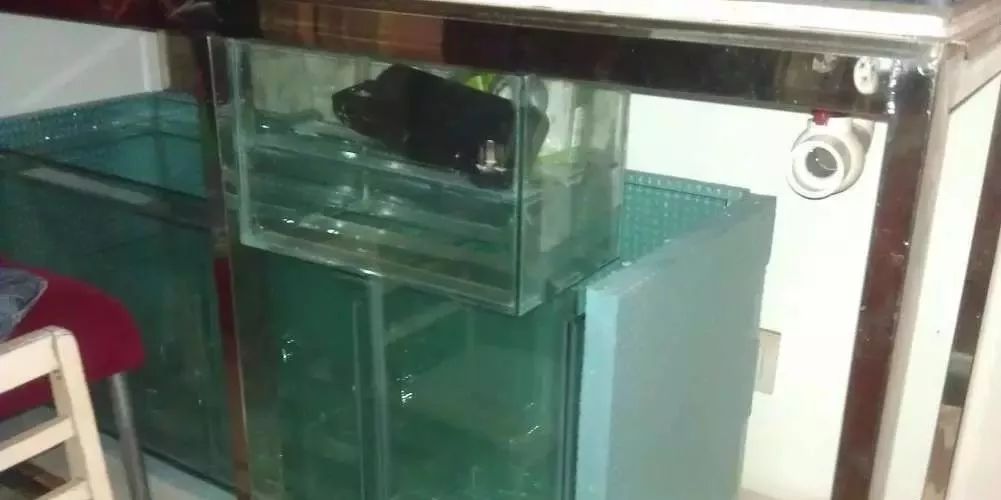 3000块的DIY罗缸，值么？