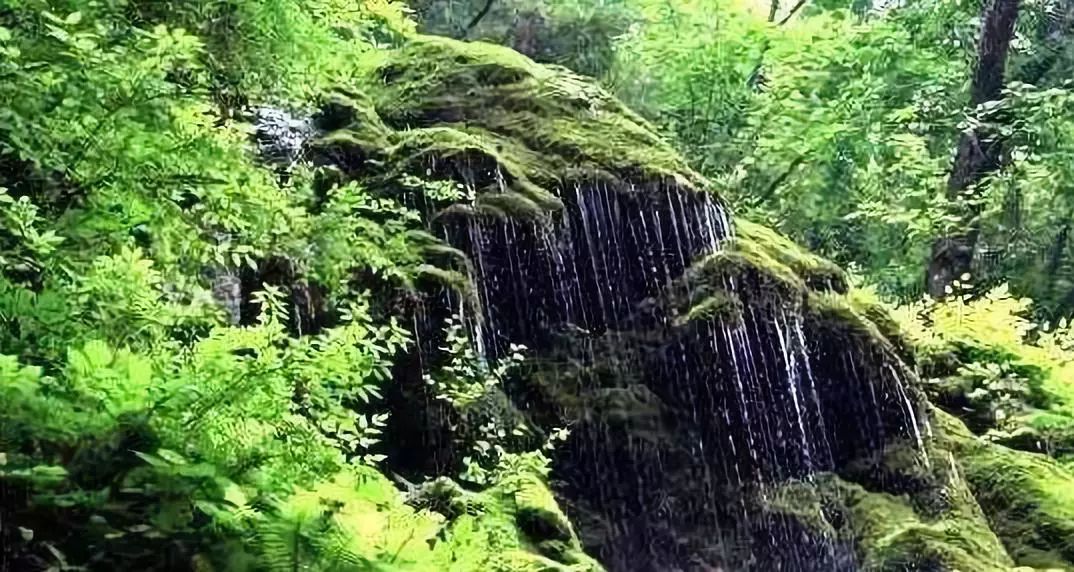 您好,这里是成县!