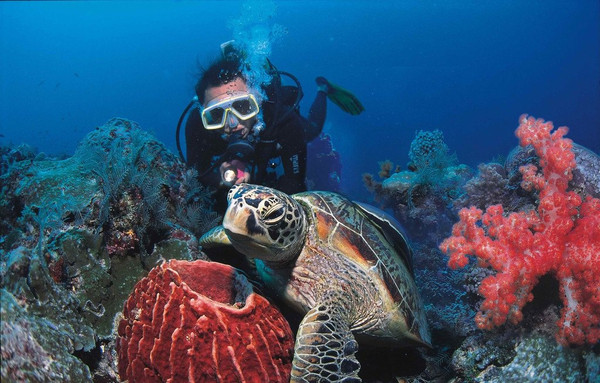 巴厘岛潜水之旅,巴厘岛潜水风景图