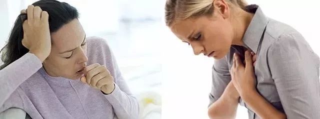 日本家庭驱蚊神器,200多万的驱蚊神器