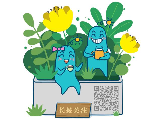 给大家分享一些特殊的公众号,推荐几个让你相见恨晚的公众号