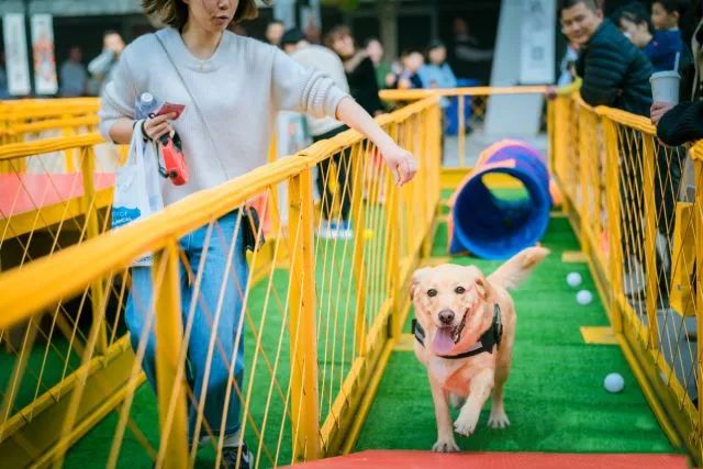 五一去哪玩更有性价比,没想好去哪玩