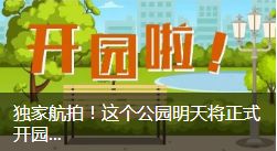 喜大普奔的信息,喜大普奔新闻视频