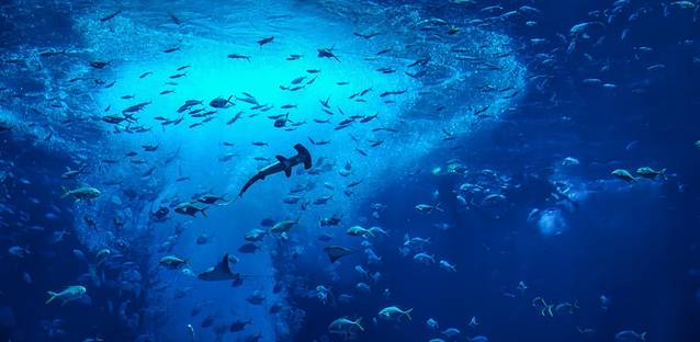 三亚旅游攻略三亚亲子游玩,暑假带孩子自驾三亚攻略