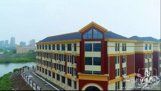 up主接力第十七期,2019第十二集预告