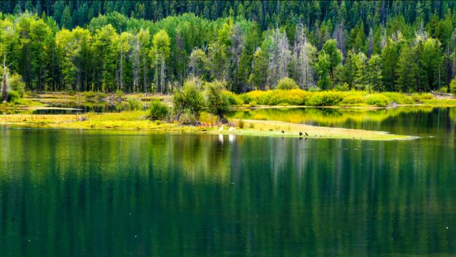 房车美国旅行游记,旅美房车自驾游视频
