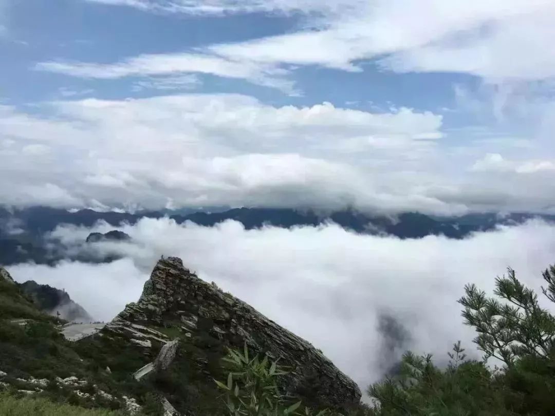 曲江创意谷游玩攻略,深宫曲江海静攻略