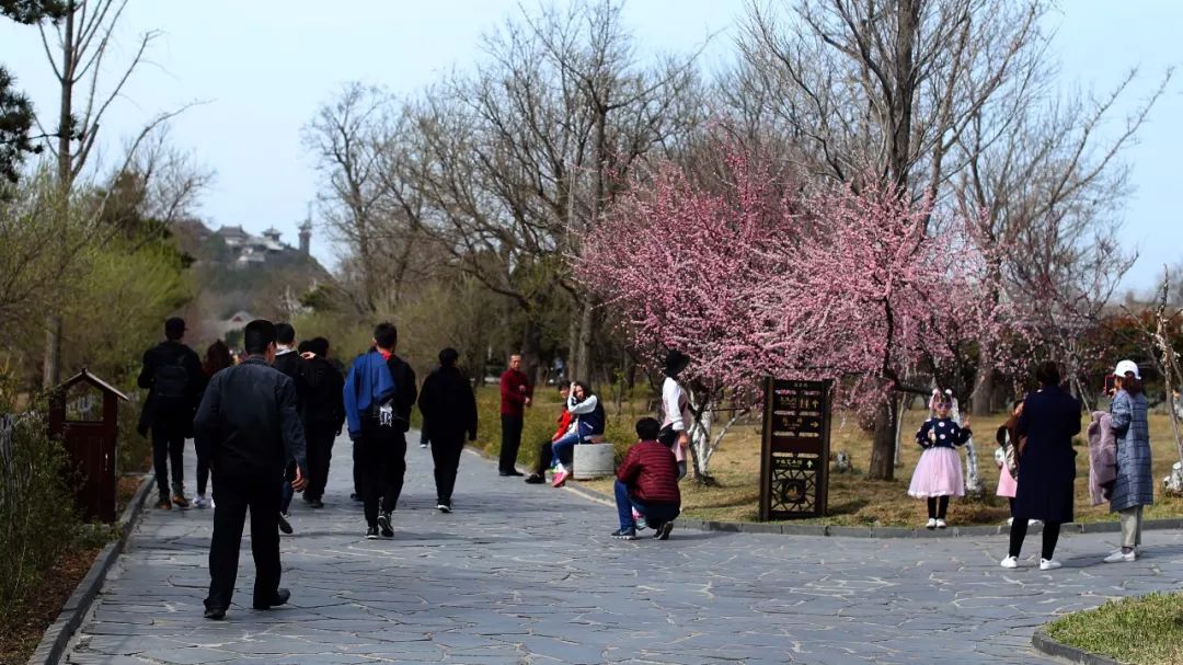 蓬莱五一旅游攻略,蓬莱阁旅游攻略一日游推荐