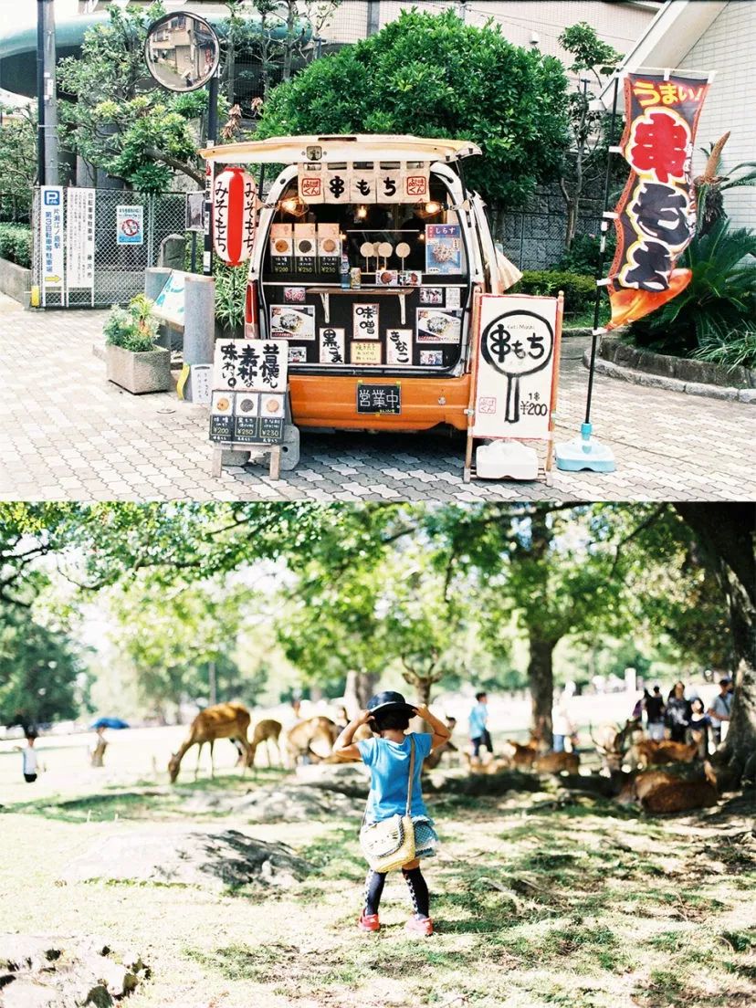 入坑胶片你真的需要一台胶片机吗,为什么不推荐新手买胶片机