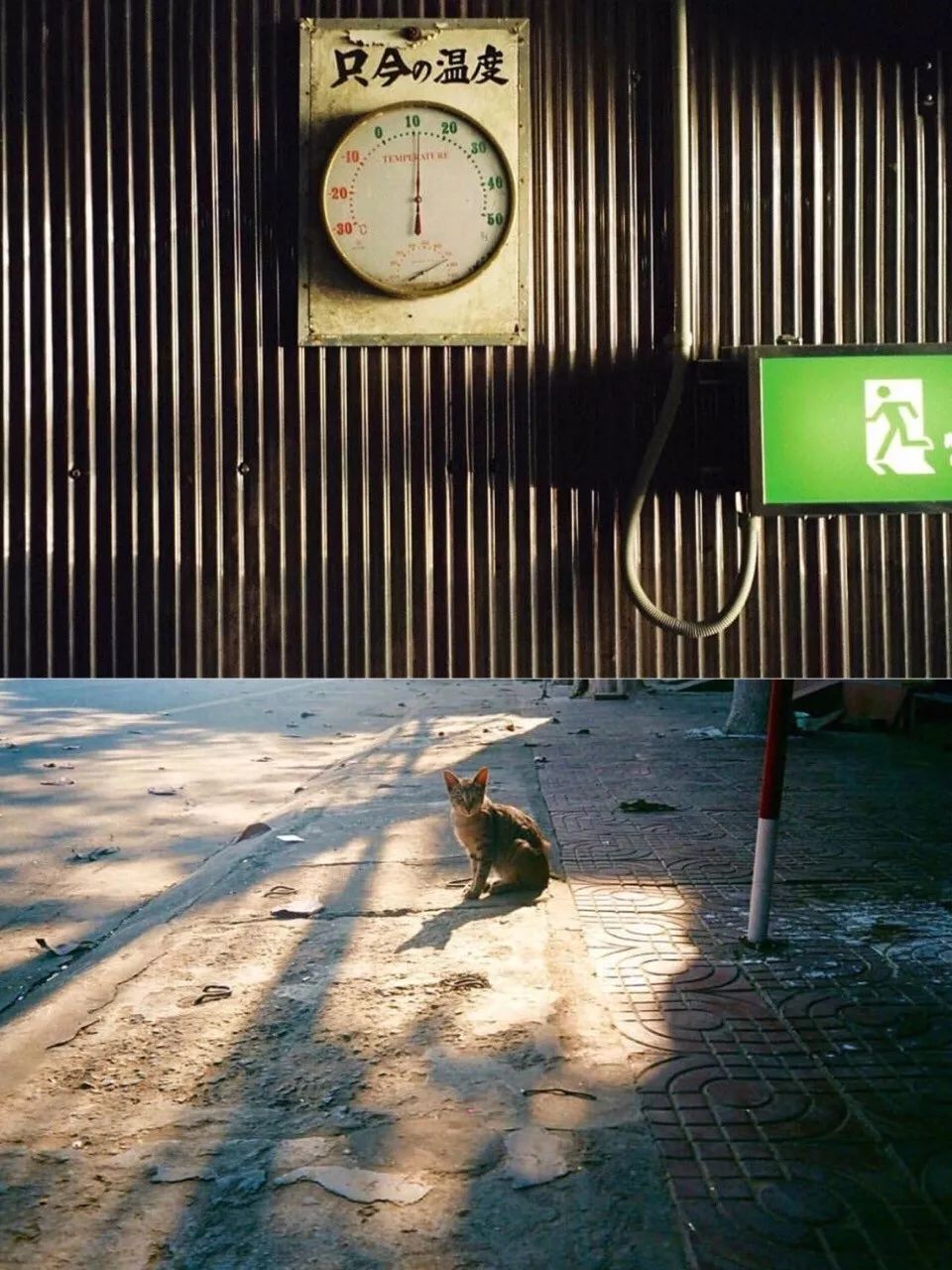 入坑胶片你真的需要一台胶片机吗,为什么不推荐新手买胶片机