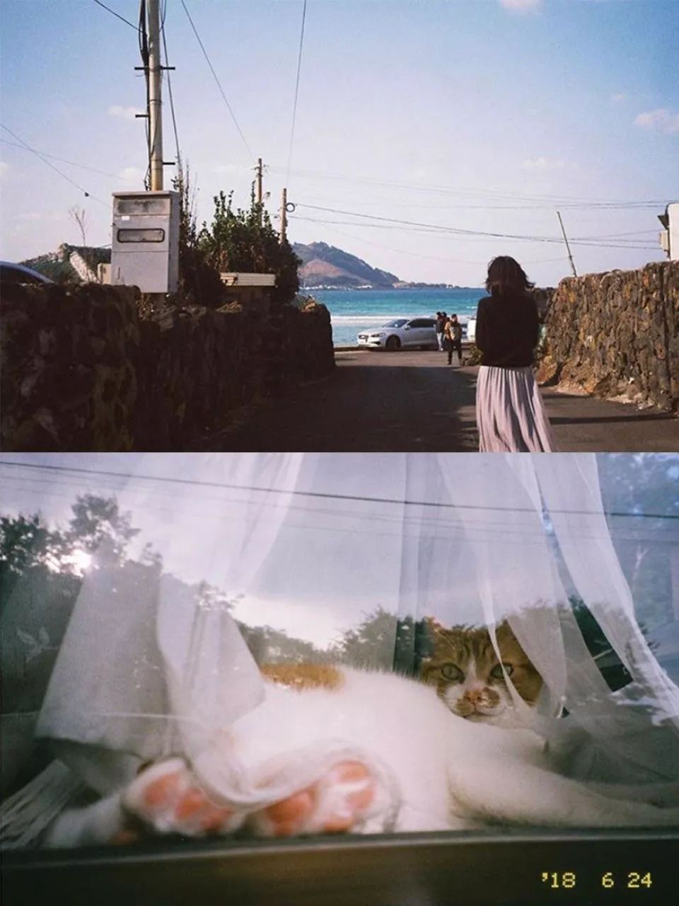 入坑胶片你真的需要一台胶片机吗,为什么不推荐新手买胶片机