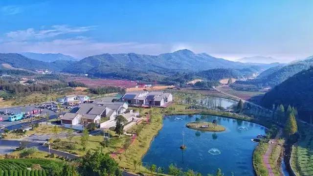 已爆满！刚刚湖州这个景区发出紧急通知，请前往周边游玩