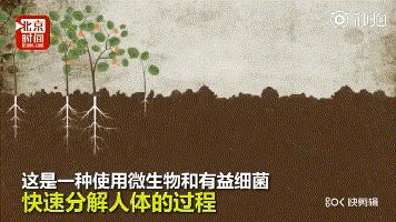 人死后，该如何体面又环保的处理尸体？