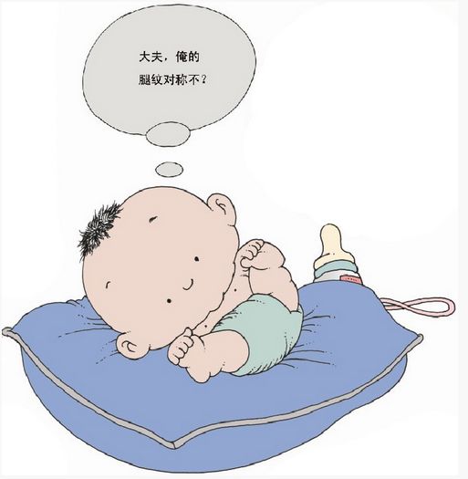 graf教授,graf法髋关节超声检查正常值