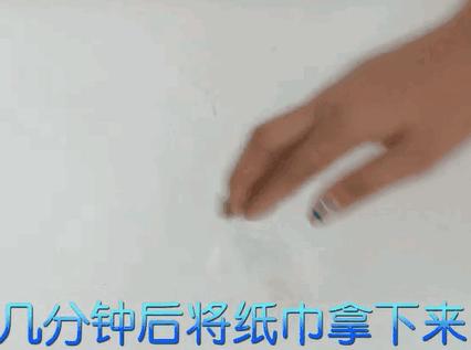 家里墙壁发霉怎么快速去除,墙壁发霉有很多小虫子怎么去除