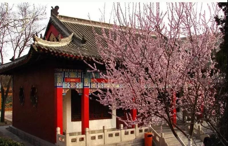 城事丨天津竟然有这么多免费公园可逛，趁假期最后一天赶紧去逛逛吧！