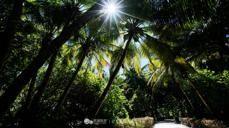 人间仙境马尔代夫旅游攻略,马尔代夫香格里拉岛