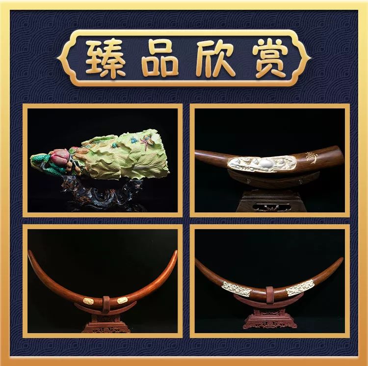 猛犸象牙收藏合法 (象牙与猛犸象牙收藏)