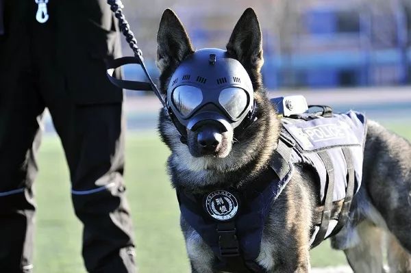 甯﹁柂鎾哥嫍宸ヤ綔鎷涜仒,鎾哥嫍鎷涜仒