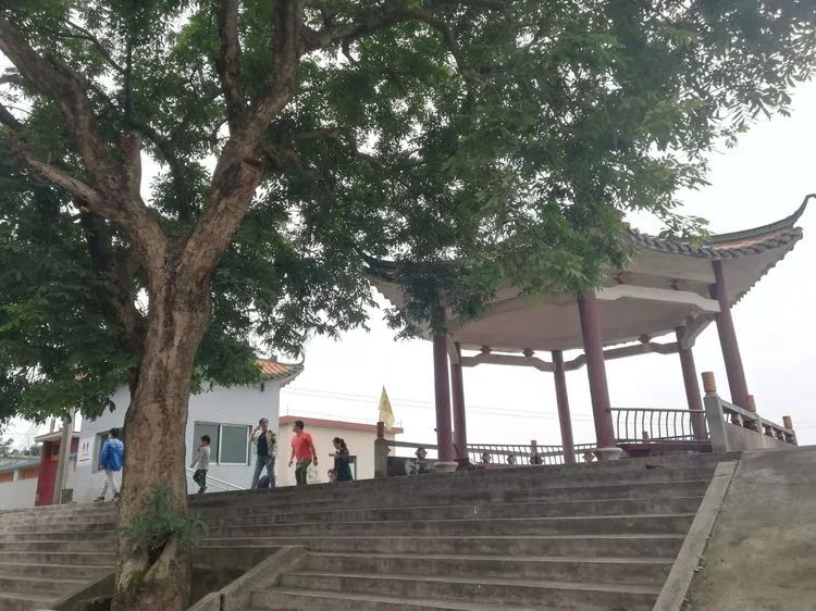 肇庆砚洲岛游记,肇庆自驾一日游砚洲岛