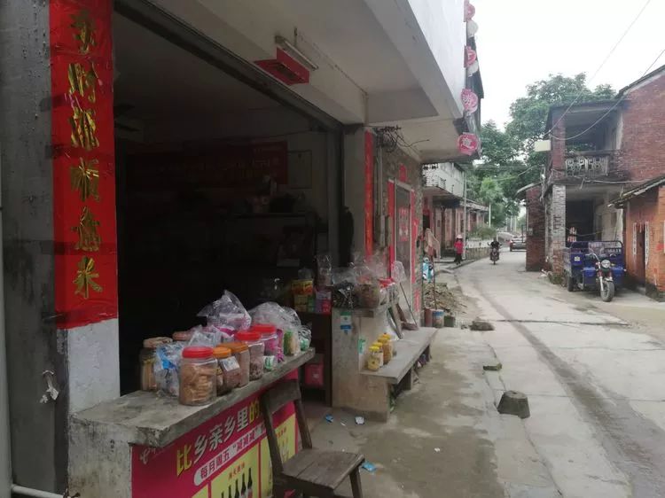 肇庆砚洲岛游记,肇庆自驾一日游砚洲岛