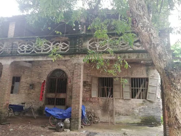 肇庆砚洲岛游记,肇庆自驾一日游砚洲岛