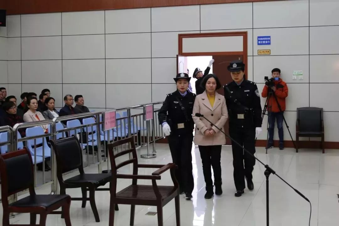 透视金玉莲案：医院大楼改扩建为人量身定做，设备招标废标也要“招”到你