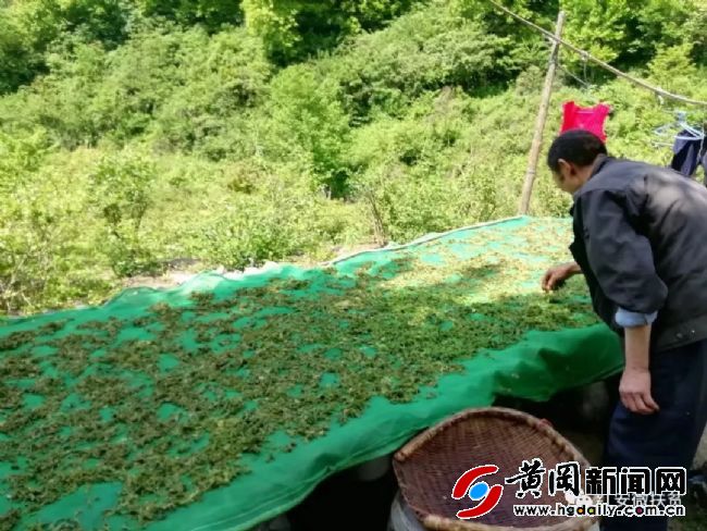 红安天台山景区绿水青山视频,成都天台山绿水青山