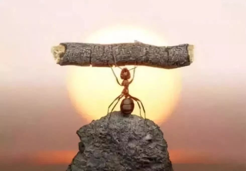 为官十条感悟,从政感悟一万句