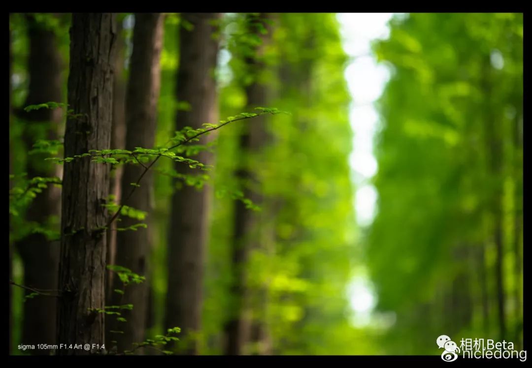 适马105mmf1.4是什么镜头,适马105mmf1.4art都有什么卡口