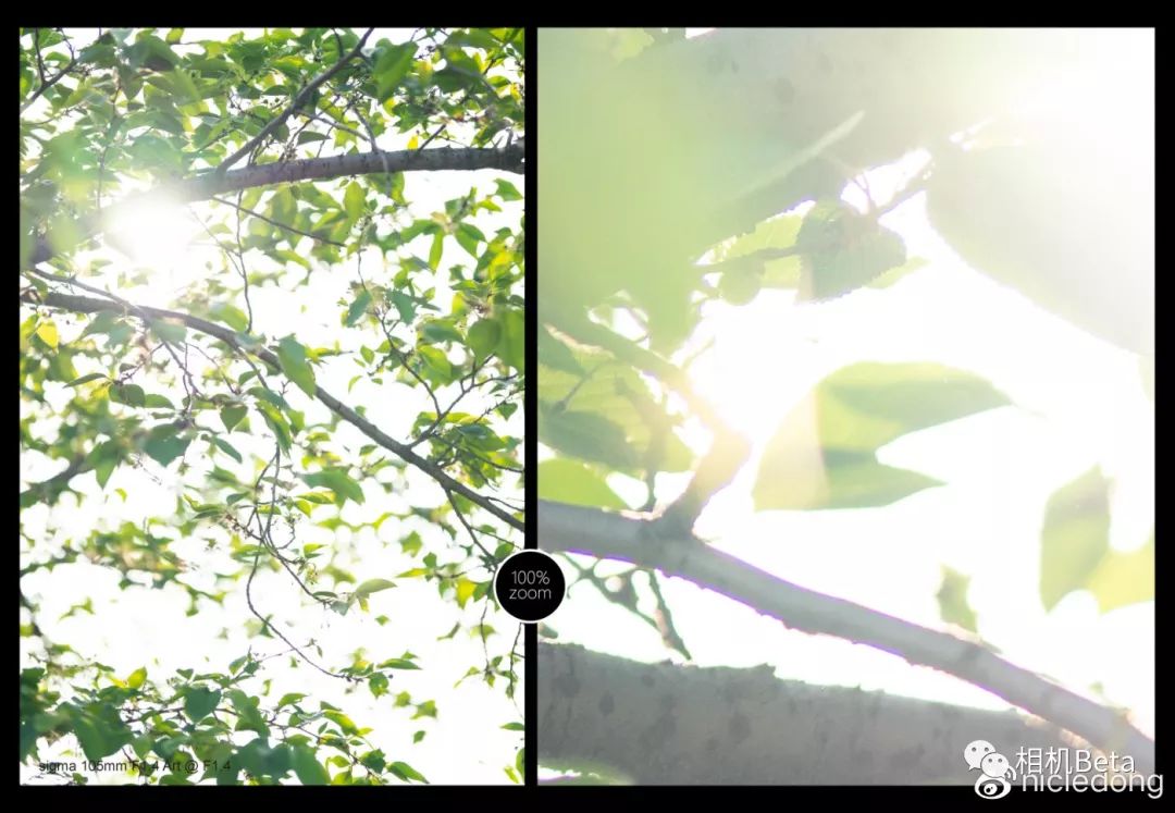 适马105mmf1.4是什么镜头,适马105mmf1.4art都有什么卡口